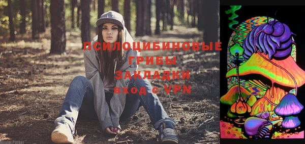 2c-b Липки
