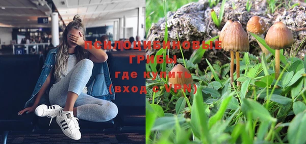 ПСИЛОЦИБИНОВЫЕ ГРИБЫ Лиски