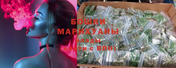 шишки Магас