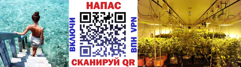Купить где  Лысьва  Канабис White Widow 